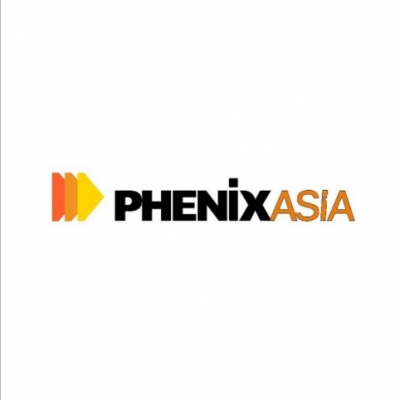 David O'Sullivan noted that new actors like Phenix Asia appear constantly to circumvent Western measures