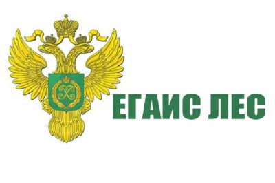 Трудности ЛесЕГАИС: и вновь продолжается сбой